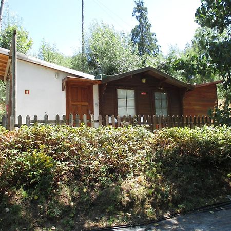 Bungalow "A Choupana" - Quinta Da Carvoica - Vale Pradinhos Vale de Pradinhos Eksteriør billede