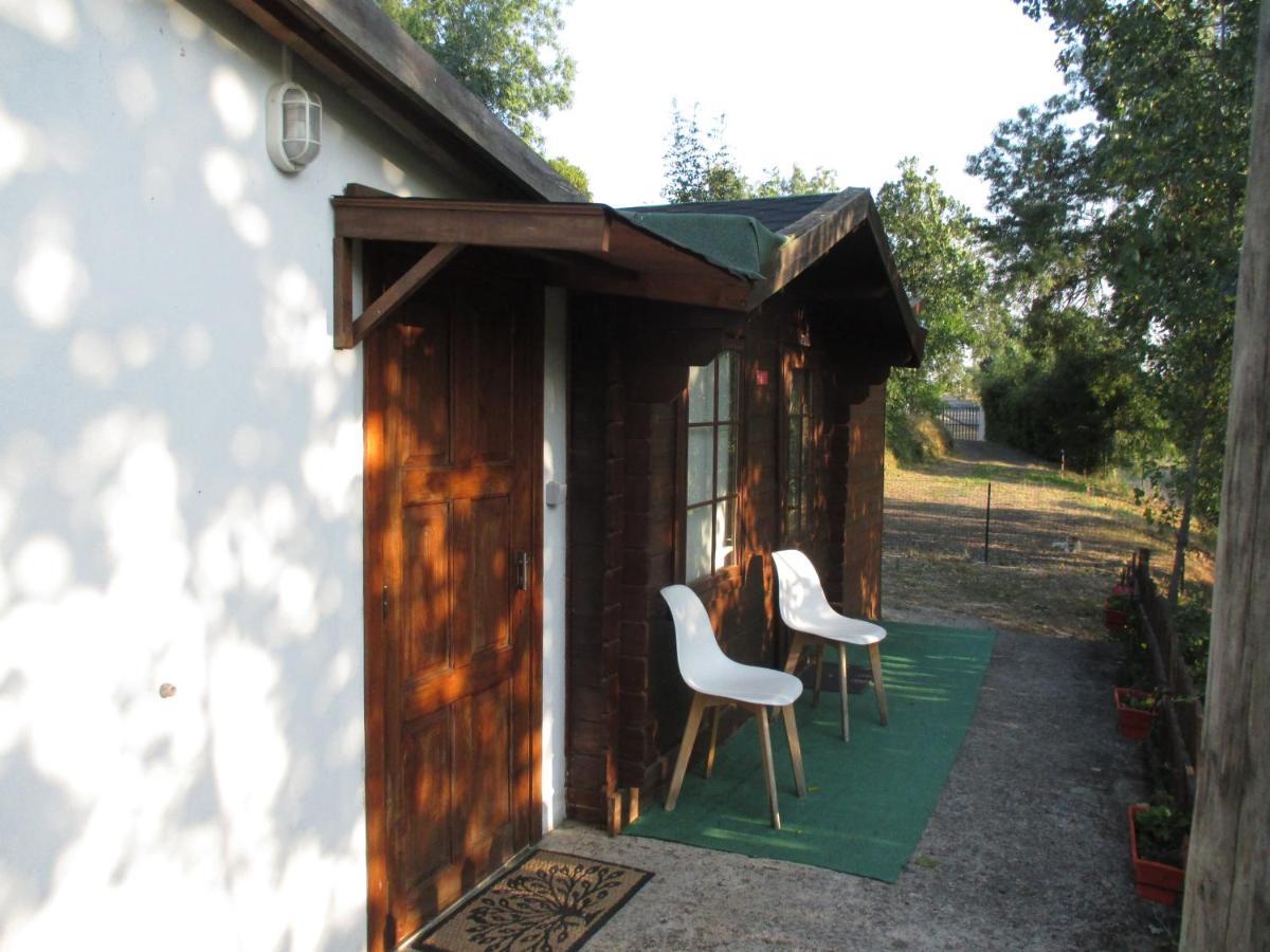 Bungalow "A Choupana" - Quinta Da Carvoica - Vale Pradinhos Vale de Pradinhos Eksteriør billede