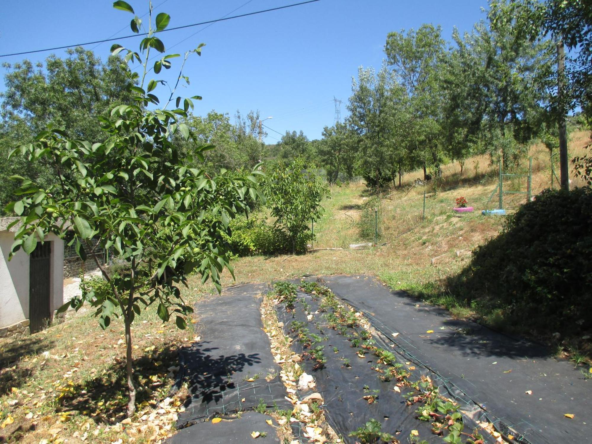 Bungalow "A Choupana" - Quinta Da Carvoica - Vale Pradinhos Vale de Pradinhos Eksteriør billede