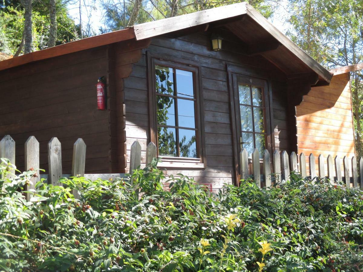 Bungalow "A Choupana" - Quinta Da Carvoica - Vale Pradinhos Vale de Pradinhos Eksteriør billede
